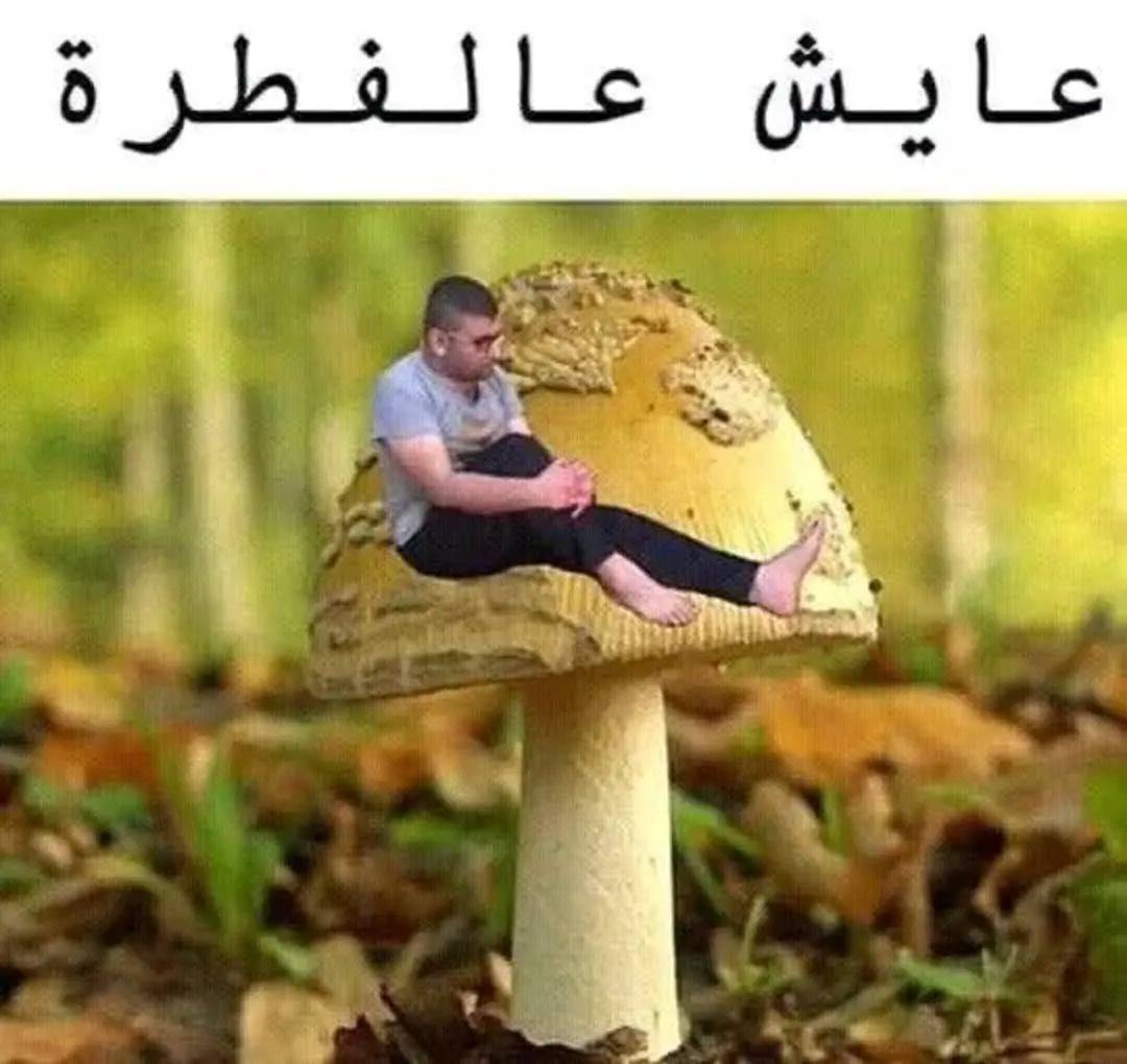 غرفة للإيجار في El Zarqa — 2